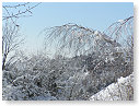 PICT0042