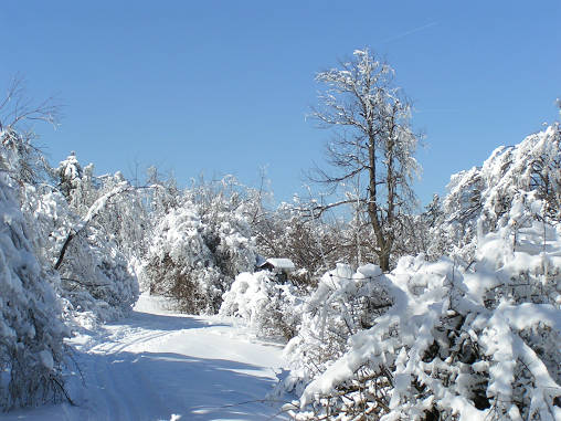 PICT0047