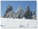 PICT0050