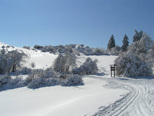 PICT0051