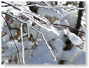 PICT0060