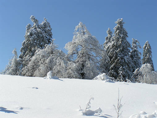 PICT0050