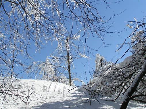 PICT0056
