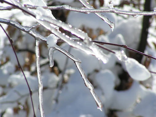 PICT0060